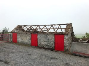 IMG 4753