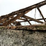 IMG 4755