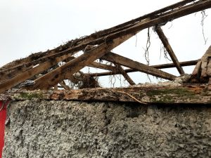 IMG 4755