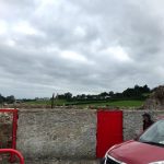 IMG 4782